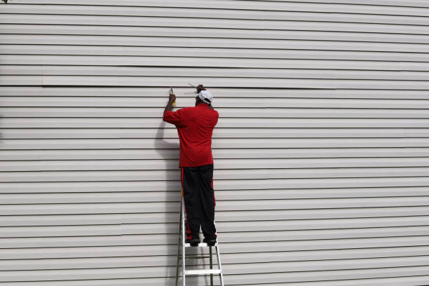 Best Aluminum Siding Installation  in Maple Park, IL